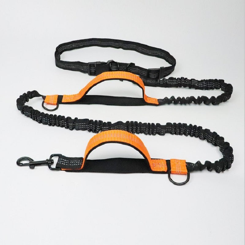Pet Products Pet Traction Rope Multifunctional - Pawradise Pets Store