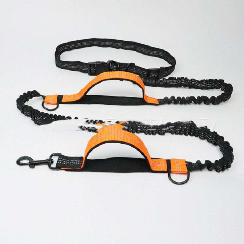 Pet Products Pet Traction Rope Multifunctional - Pawradise Pets Store